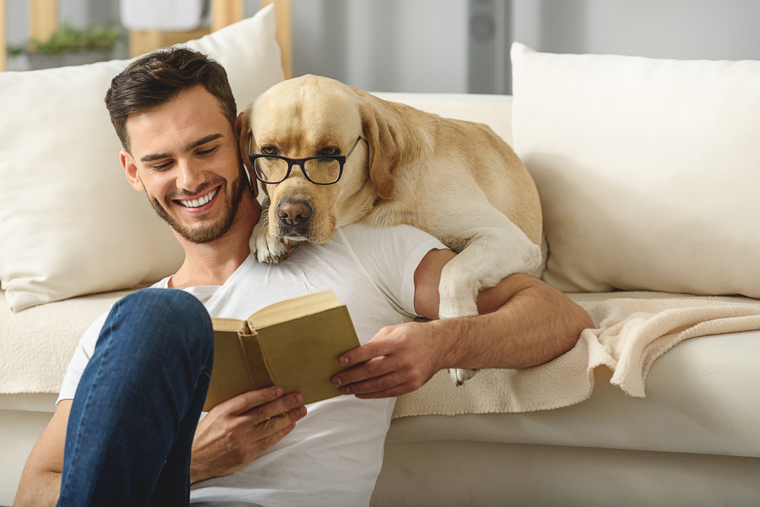 3 Ways CBD Can Benefit You and Your Pets