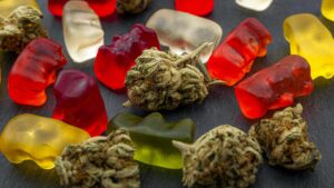 Cannabis edibles, medical marijuana, CBD infused gummies and edible pot concept theme with close up on colorful gummy bears and weed buds on dark background
